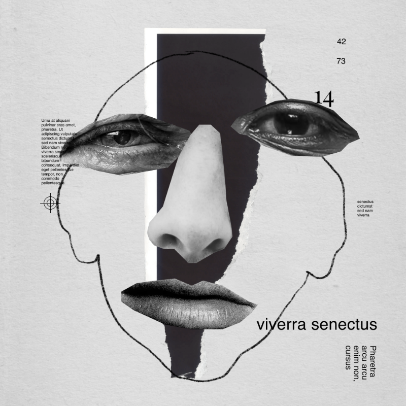 Collage faces #26