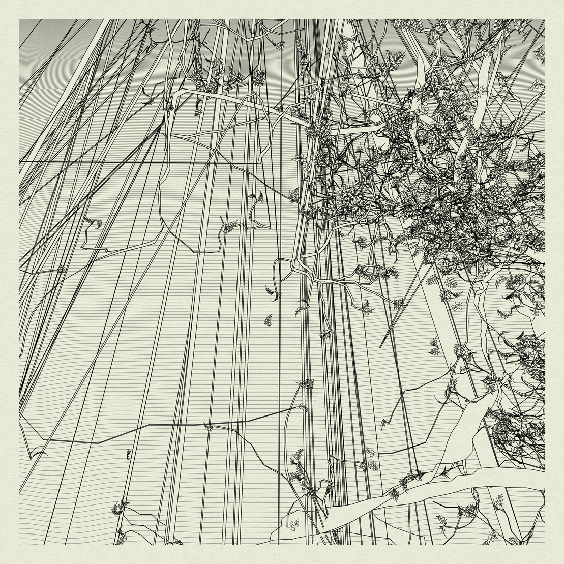 A Bugged Forest #687