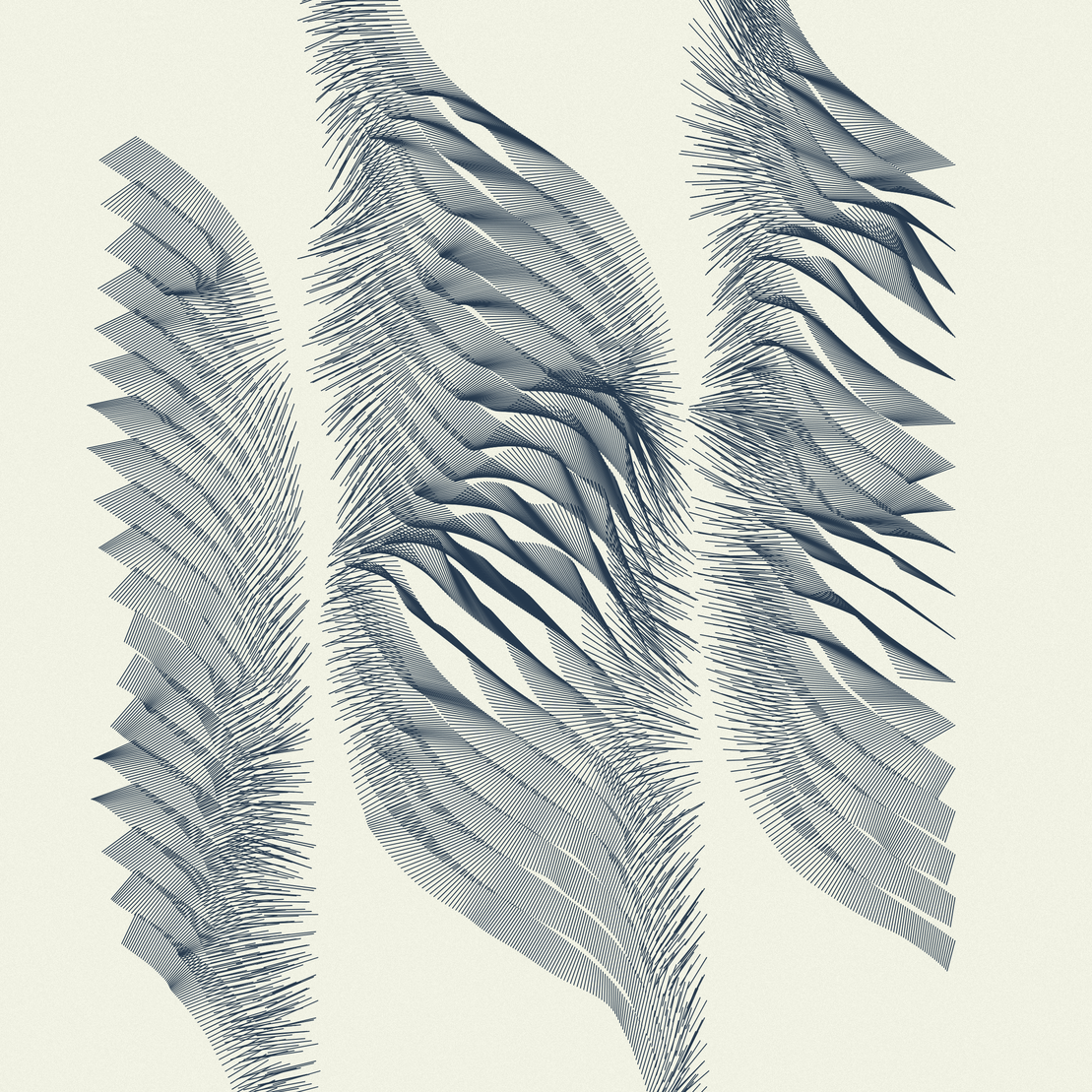Curtains #51