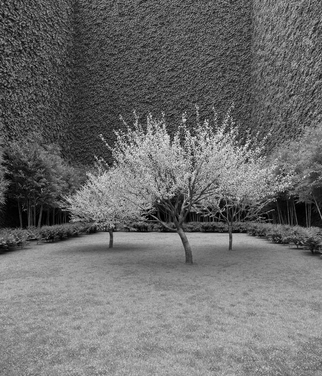 Garden of Imagination #67