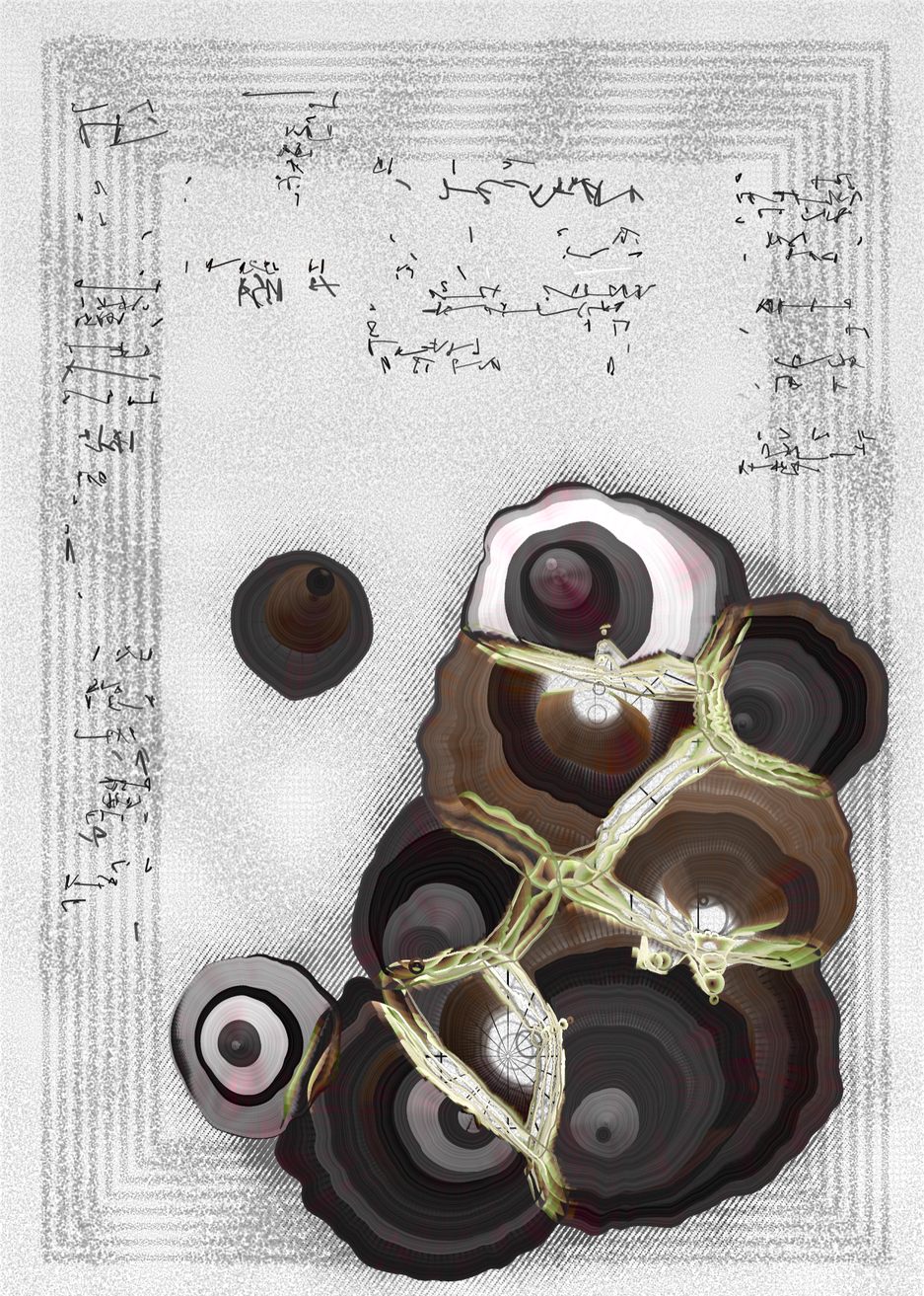 n Forms #250