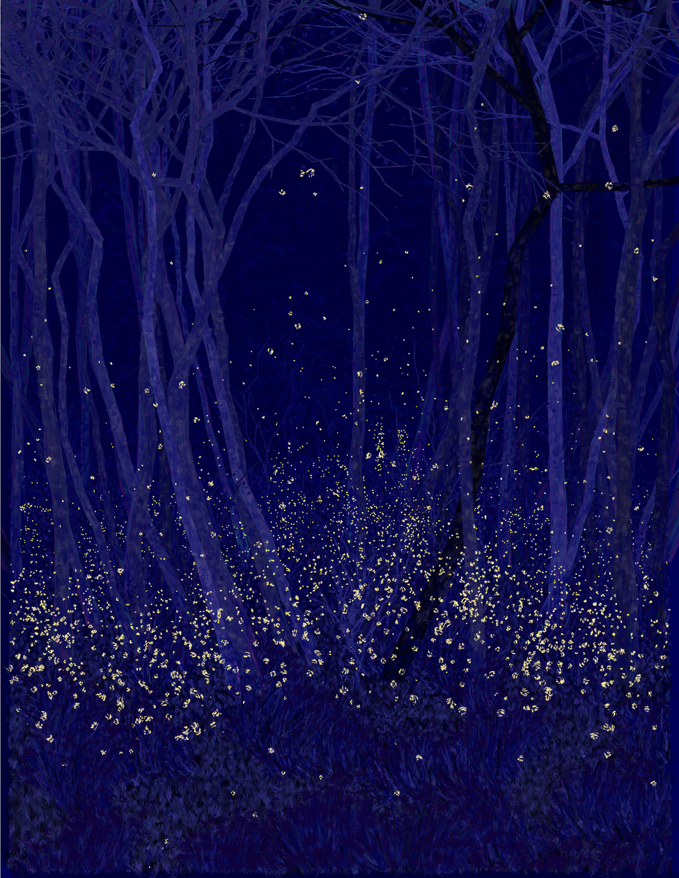 Deep Forest #11