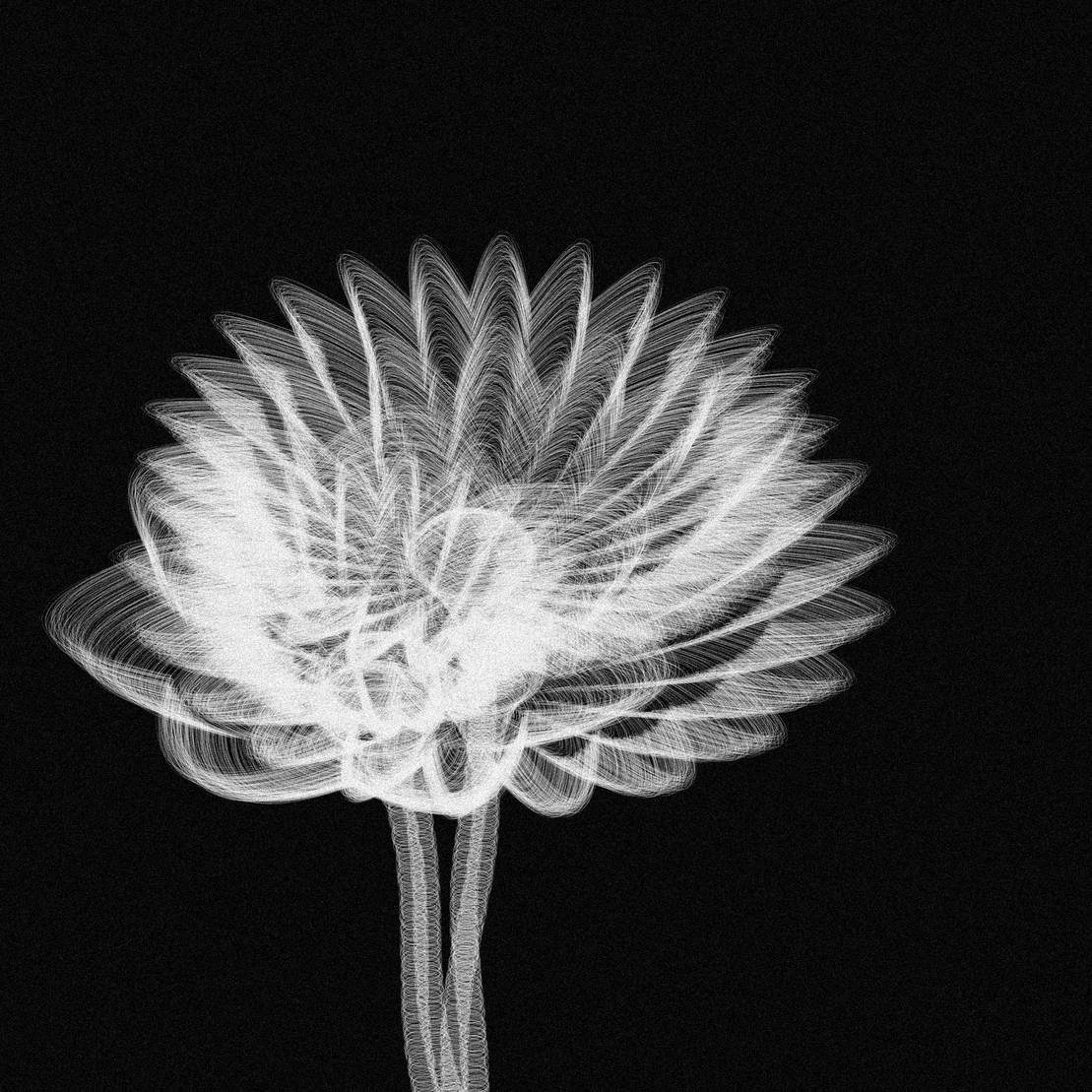Code Flowers #9