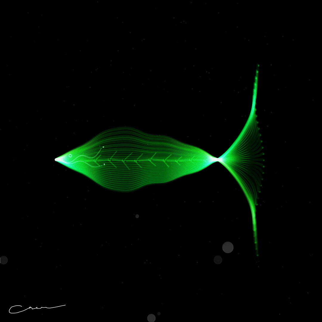 SoulFish #319
