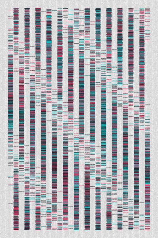 Sequence #234