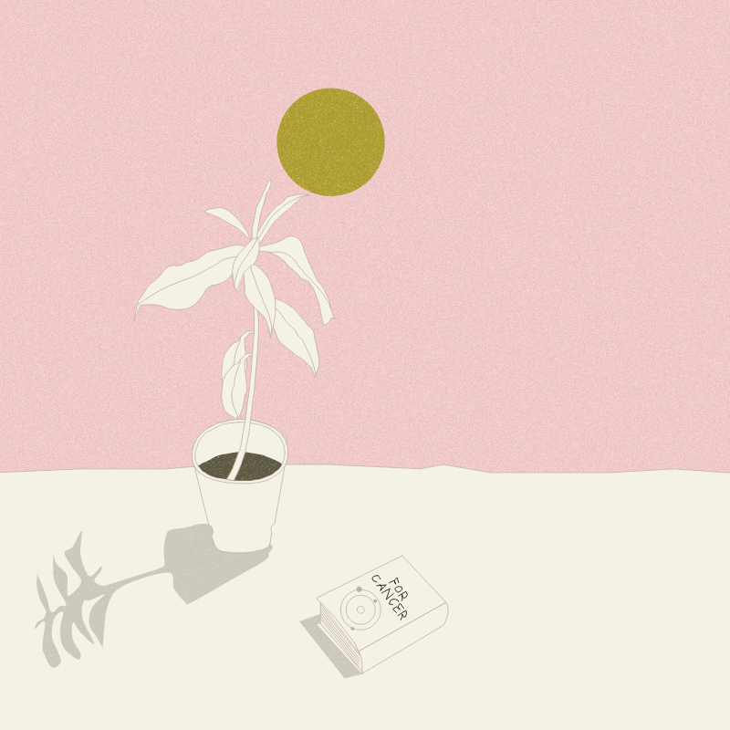 Still Life #12 #11