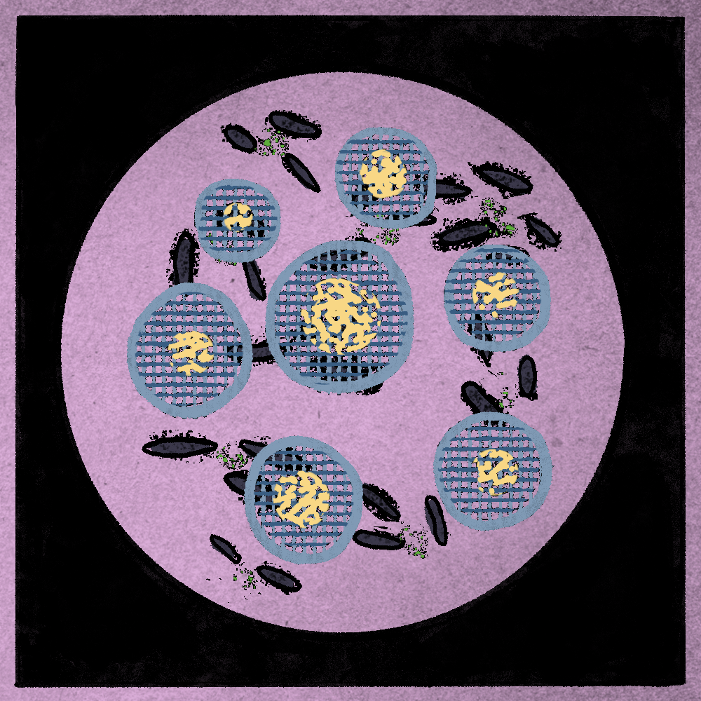 Microbes #121