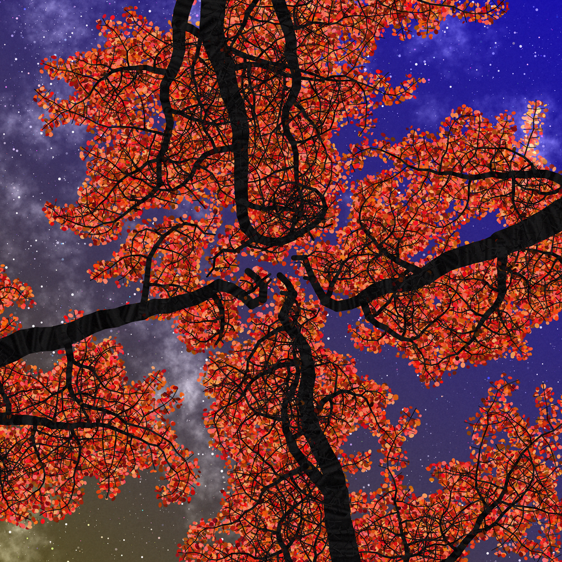 Tree Skyness #116