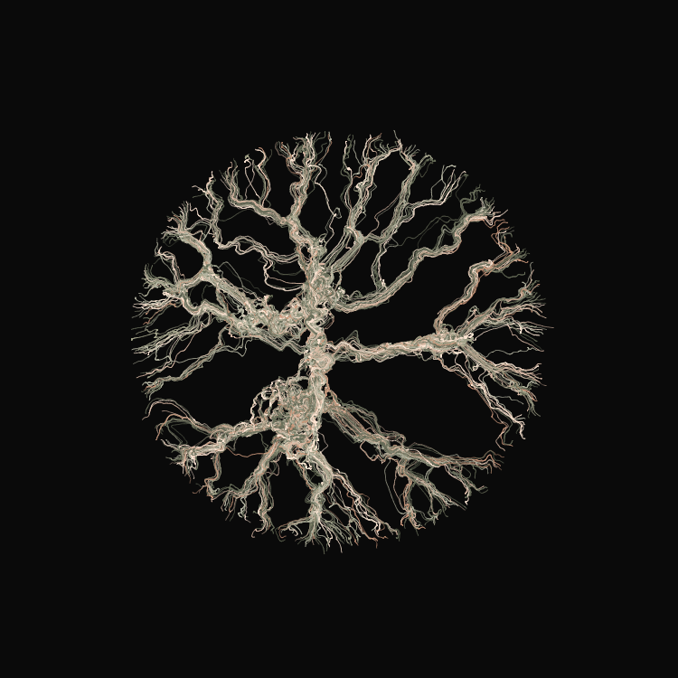 Ginseng #108