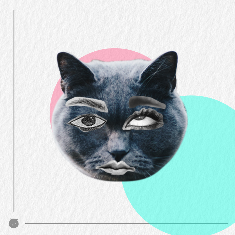 Kittenstein #19