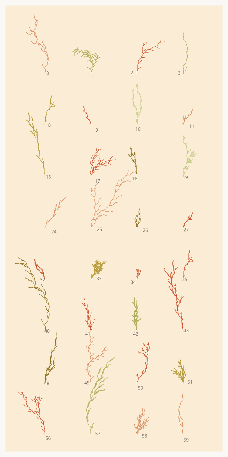 Seaweed Study #3