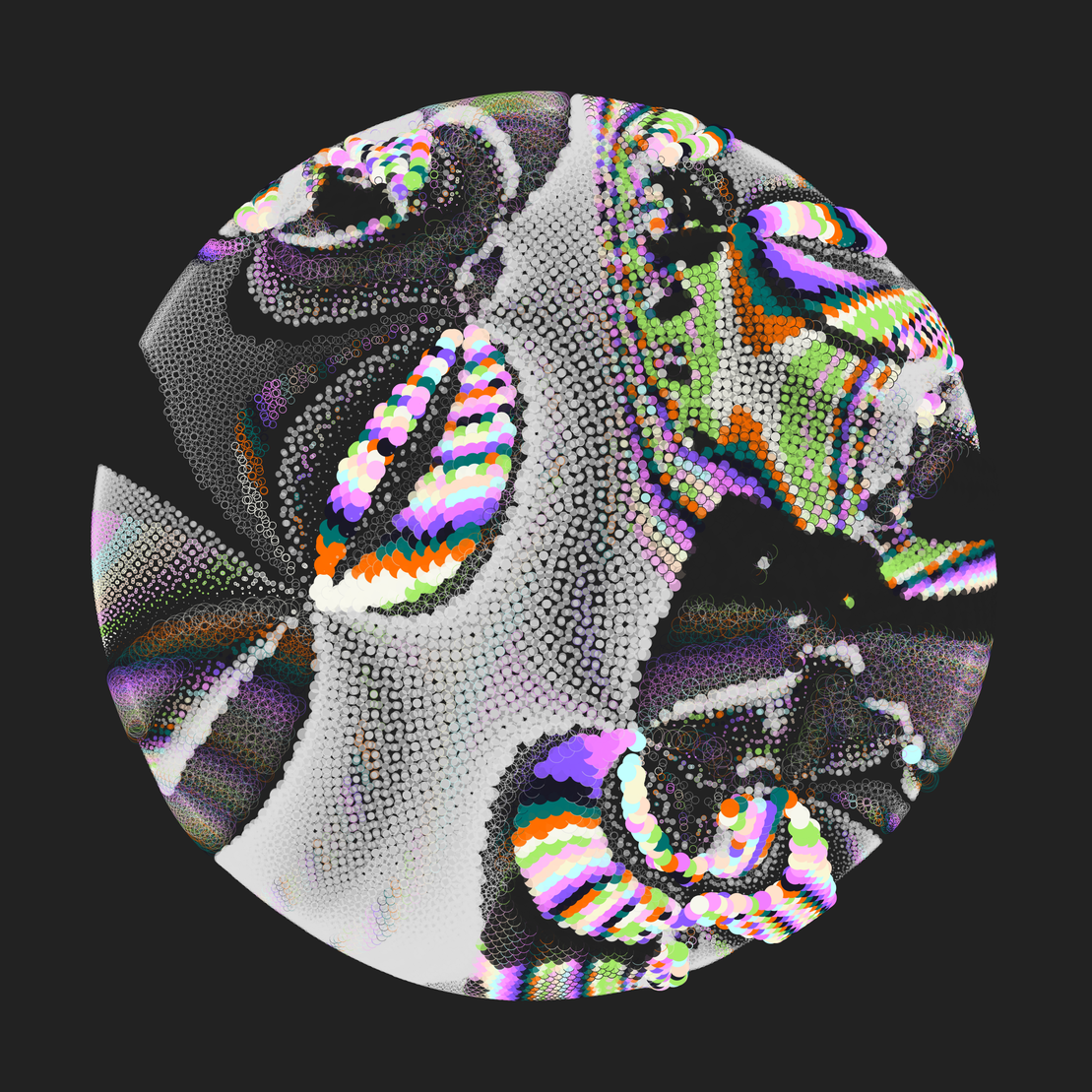 Still C #24381