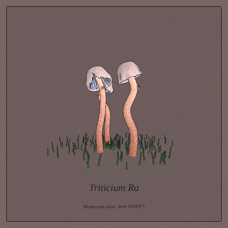 Mushroom Atlas #8