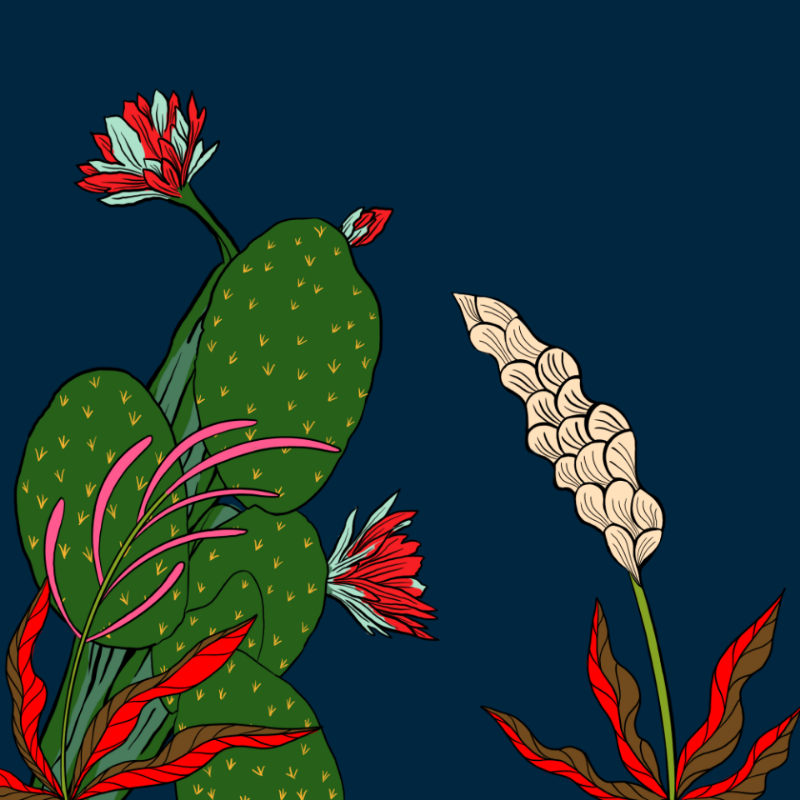 Desert Exuberance #29
