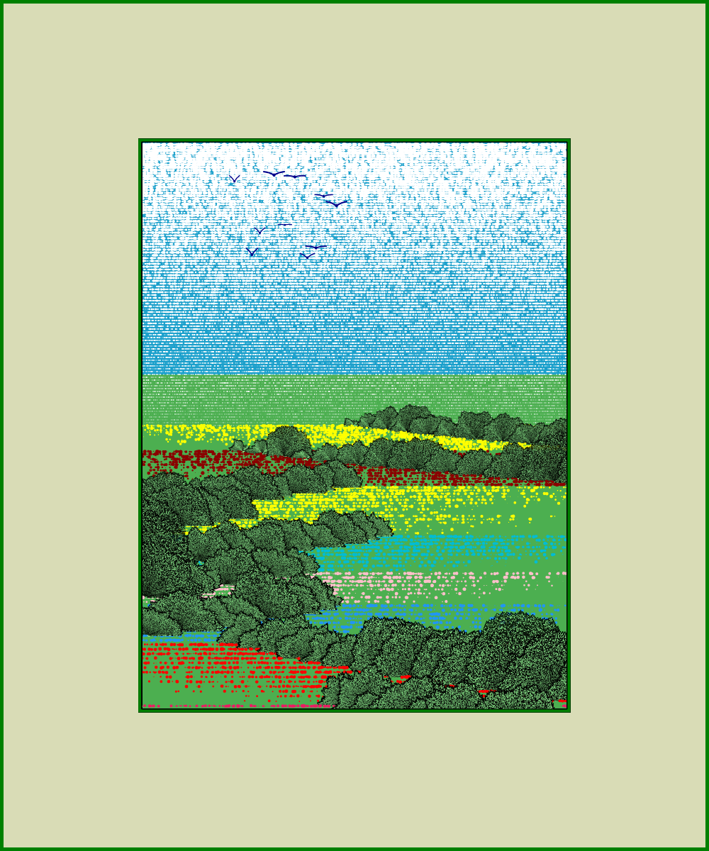Fields of flowers #6