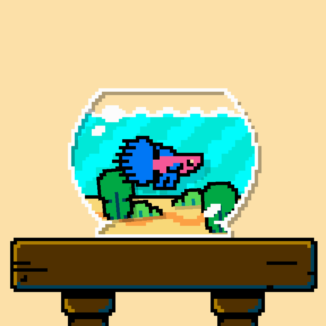 betta fish #352