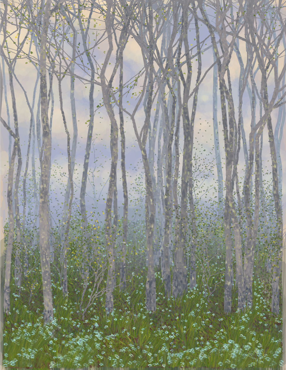 Deep Forest #94