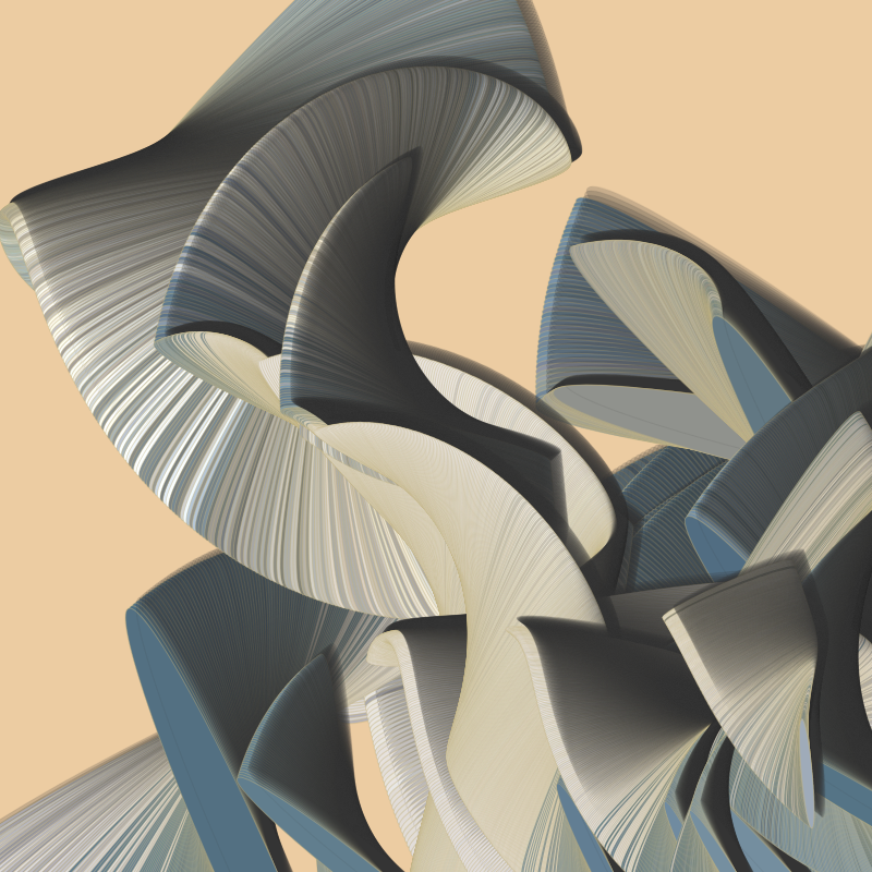 Seashells #44