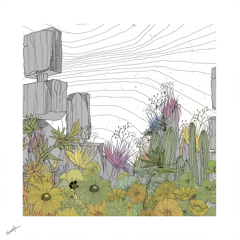 Garden of Lines #Rocks_Blooms #21