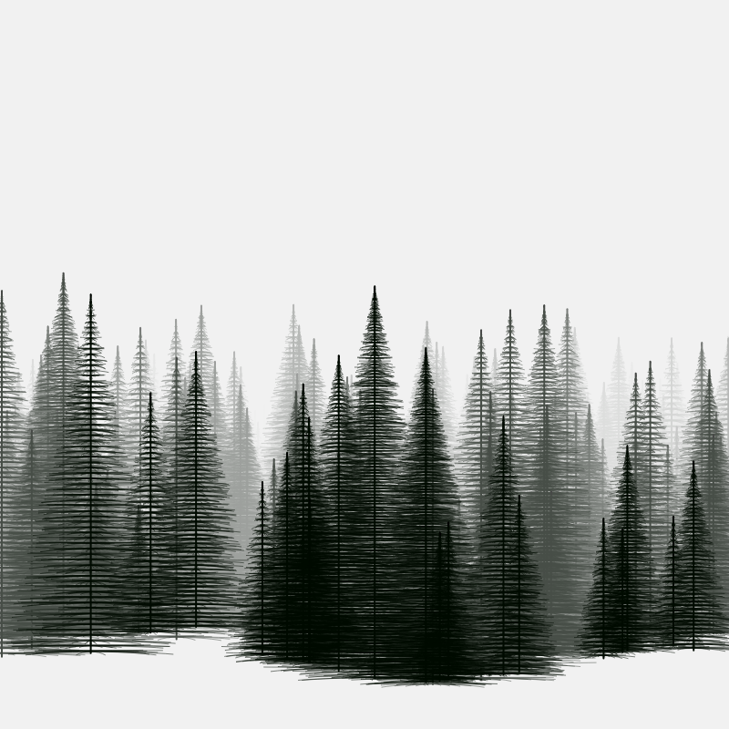 Pine trees in the cold #14