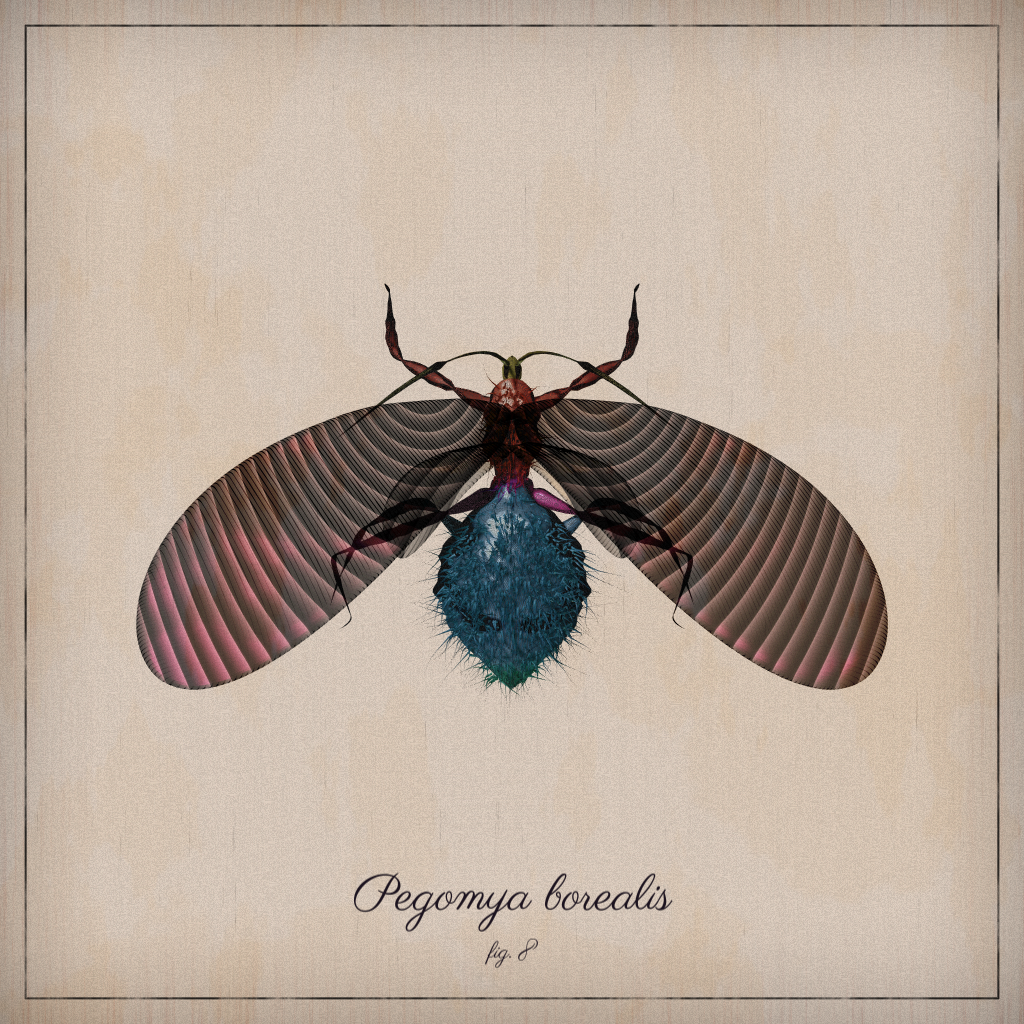 ProcGen Entomology #195