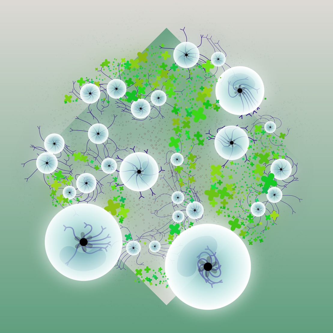 Is this a lifeform? #60
