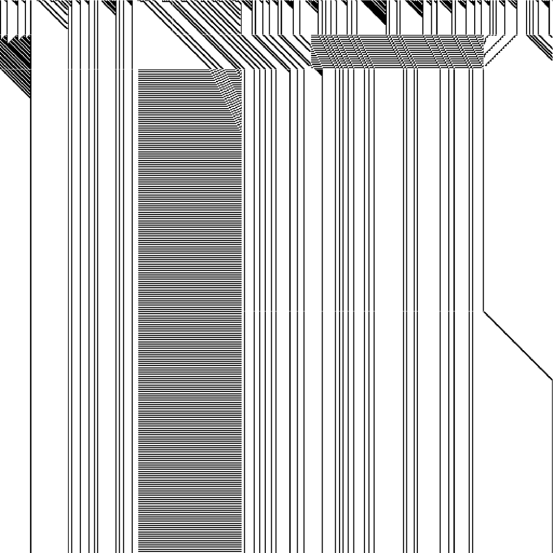 RULES (for Elementary Cellular Automata) #323