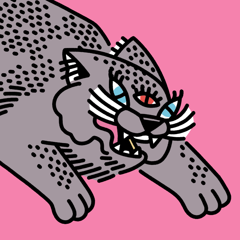 fx(cats) #217