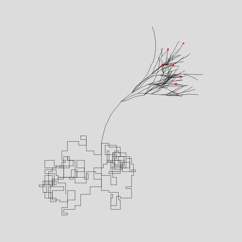 Algorithmic Tree #12