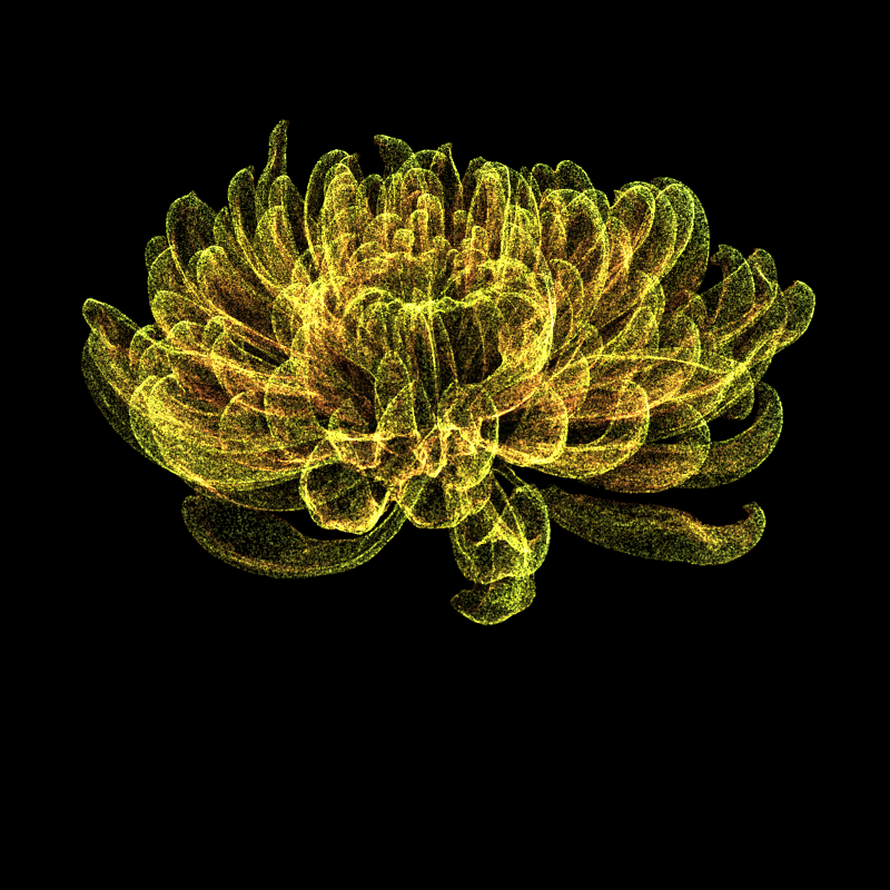 Chrysanthemum Morifolium 30 #86