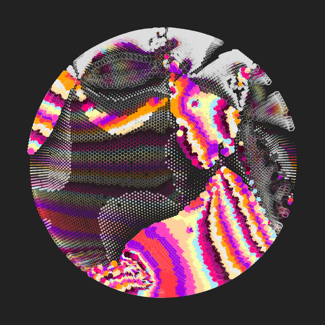 Still C #31295