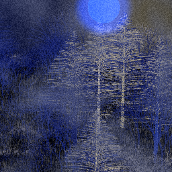 Moonlit Native Bush #129