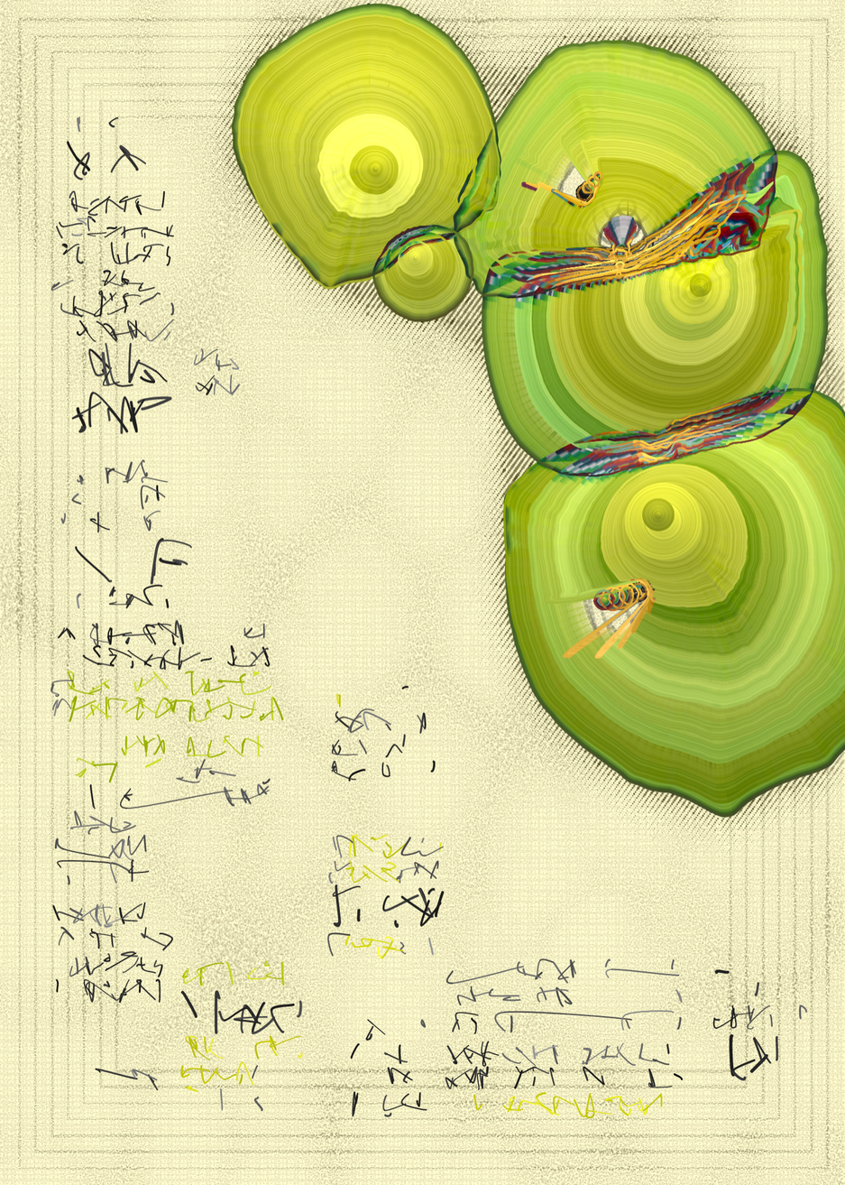 n Forms #213