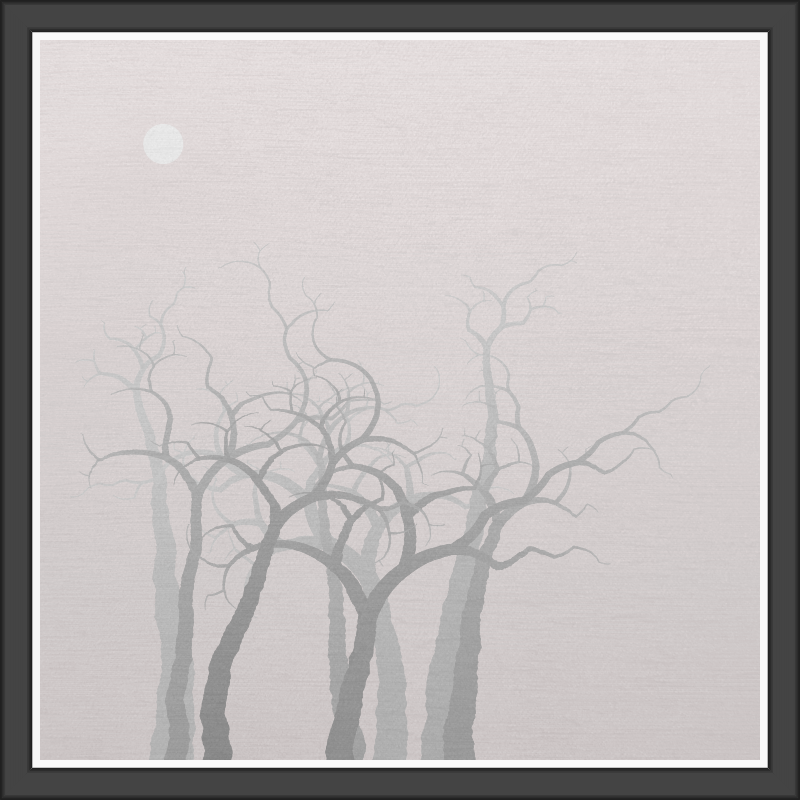 The Foggy Trees #69