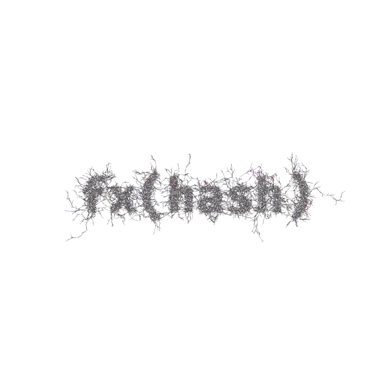 FXHASH Logo with Features #899