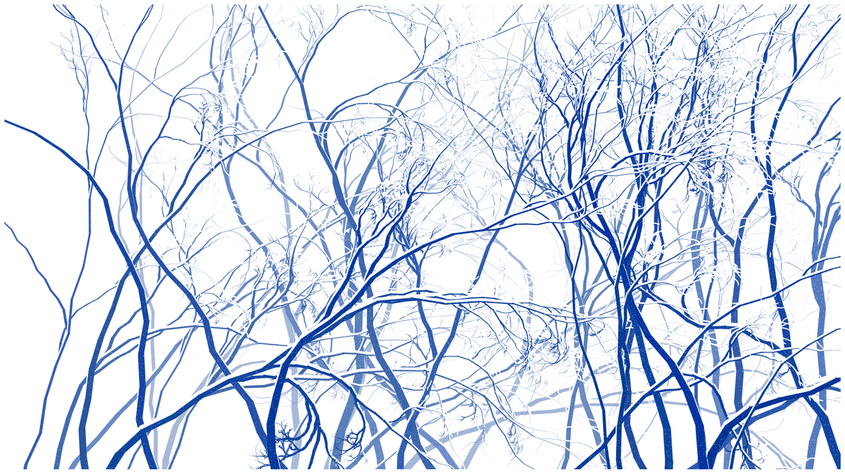 SCHNEEWALD #131
