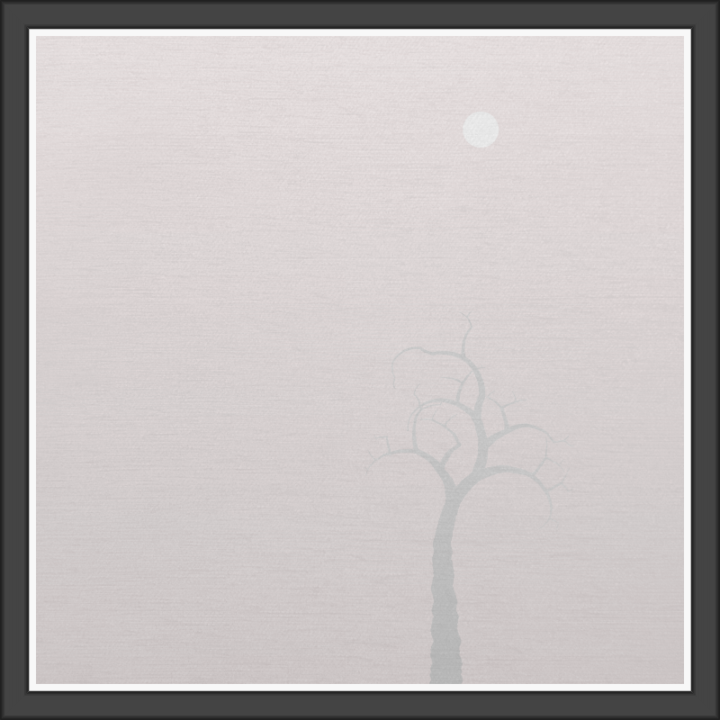 The Foggy Trees #101