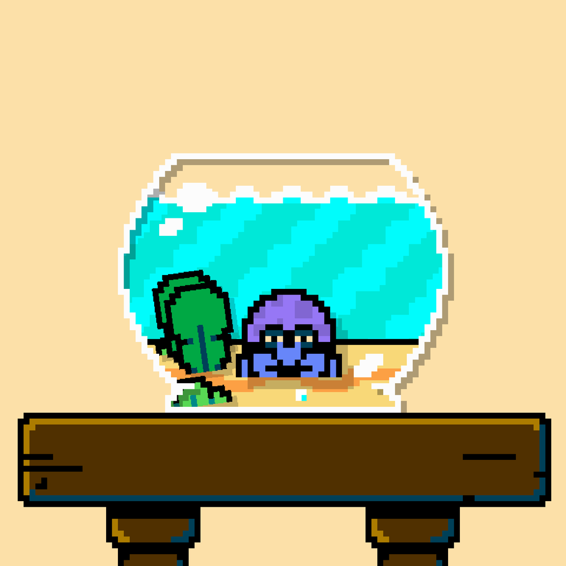 hermit crab #31