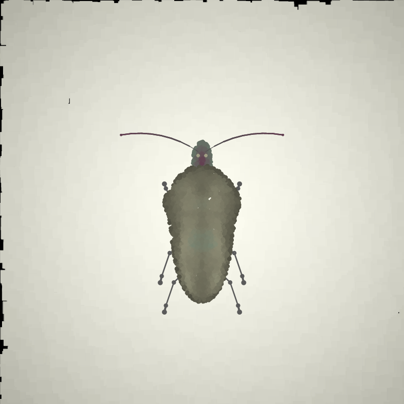 Beetle Sketches #24