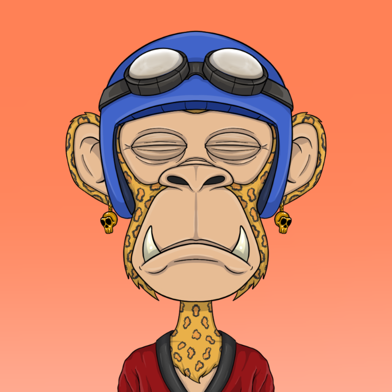 chimpantez #563