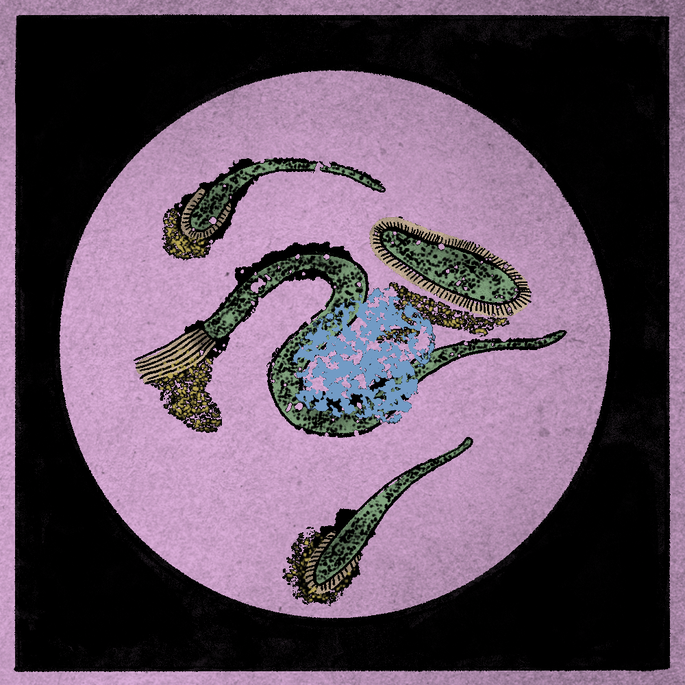 Microbes #37