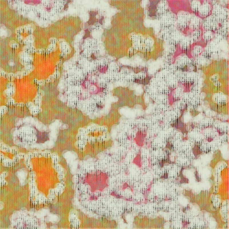 Petri 1500 #562