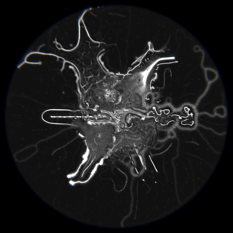 Ethereal Microcosm #7