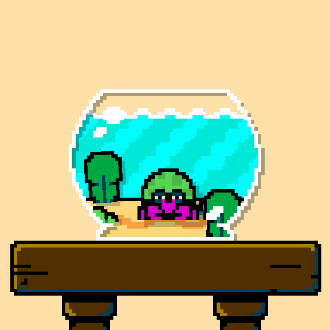 hermit crab #29