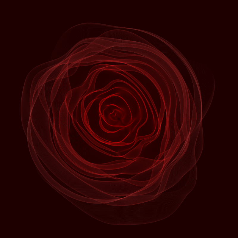 Roses #6