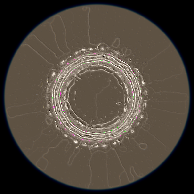 Ethereal Microcosm #280