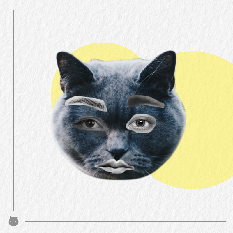 Kittenstein #62