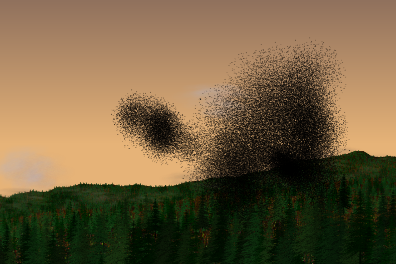 Starlings #38