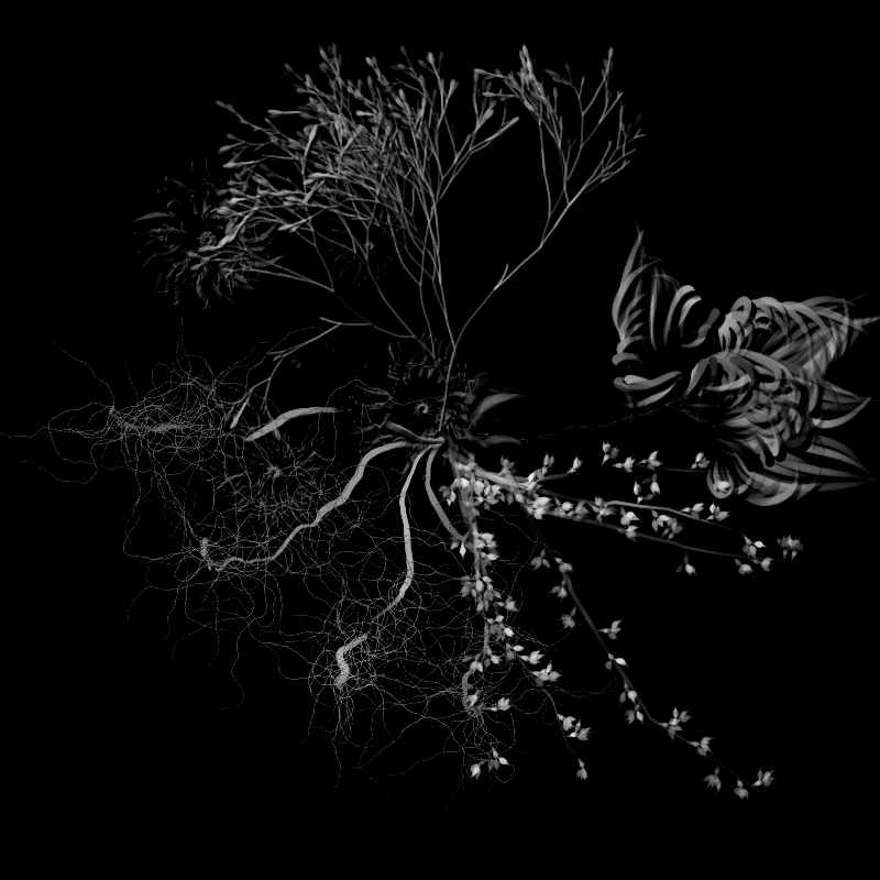 Botanical Ghosts #151