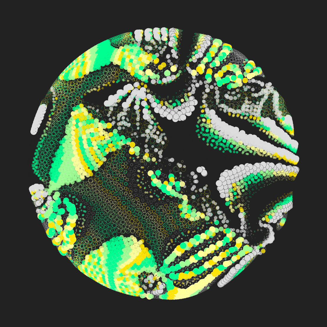 Still C #28372